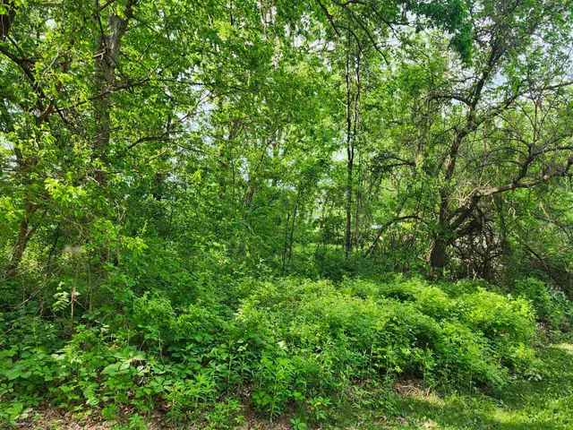 $29,900 | Gingers, Muscoda, WI 53573