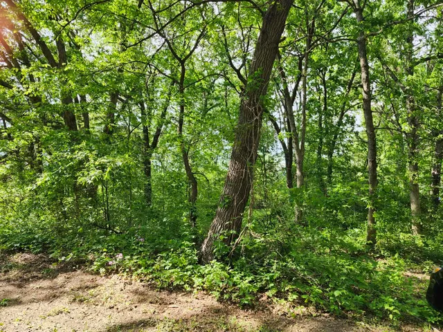 $29,900 | Gingers, Muscoda, WI 53573