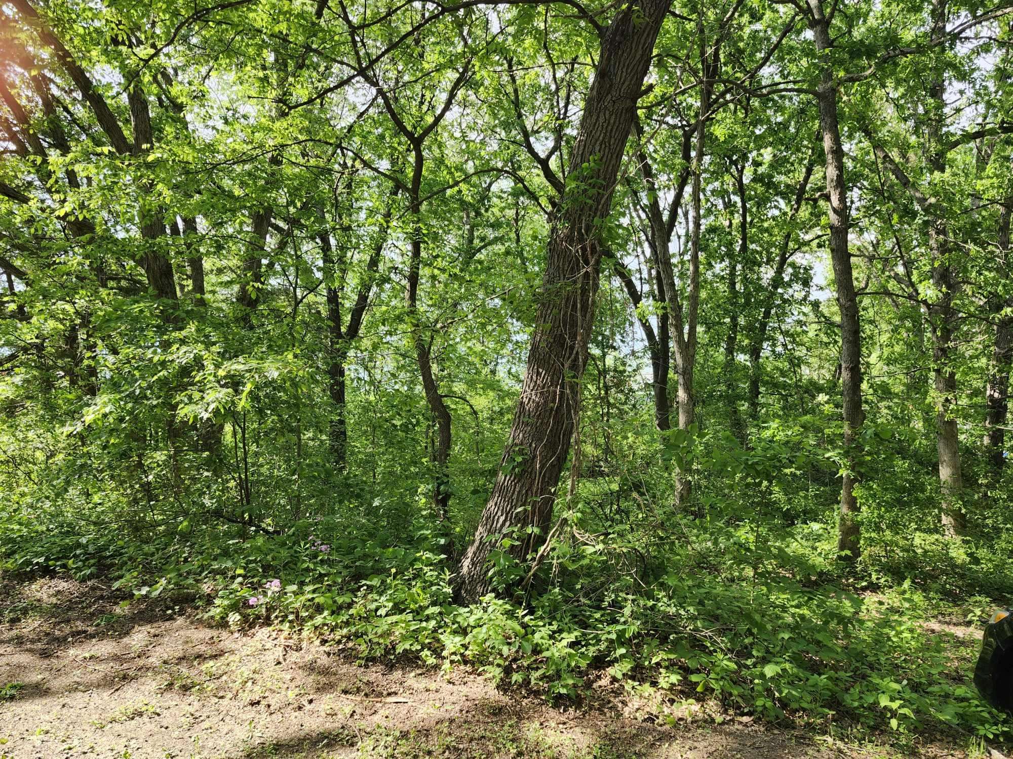 Gingers Muscoda, WI 53573 - Photo 3 of 7