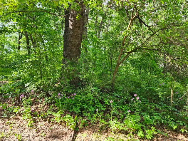 $29,900 | Gingers, Muscoda, WI 53573