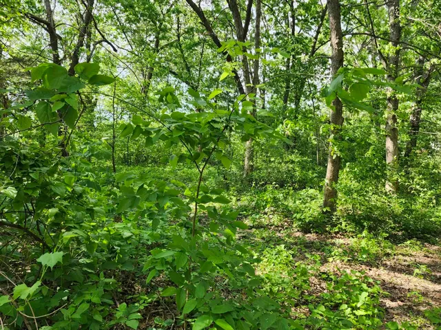 $29,900 | Gingers, Muscoda, WI 53573