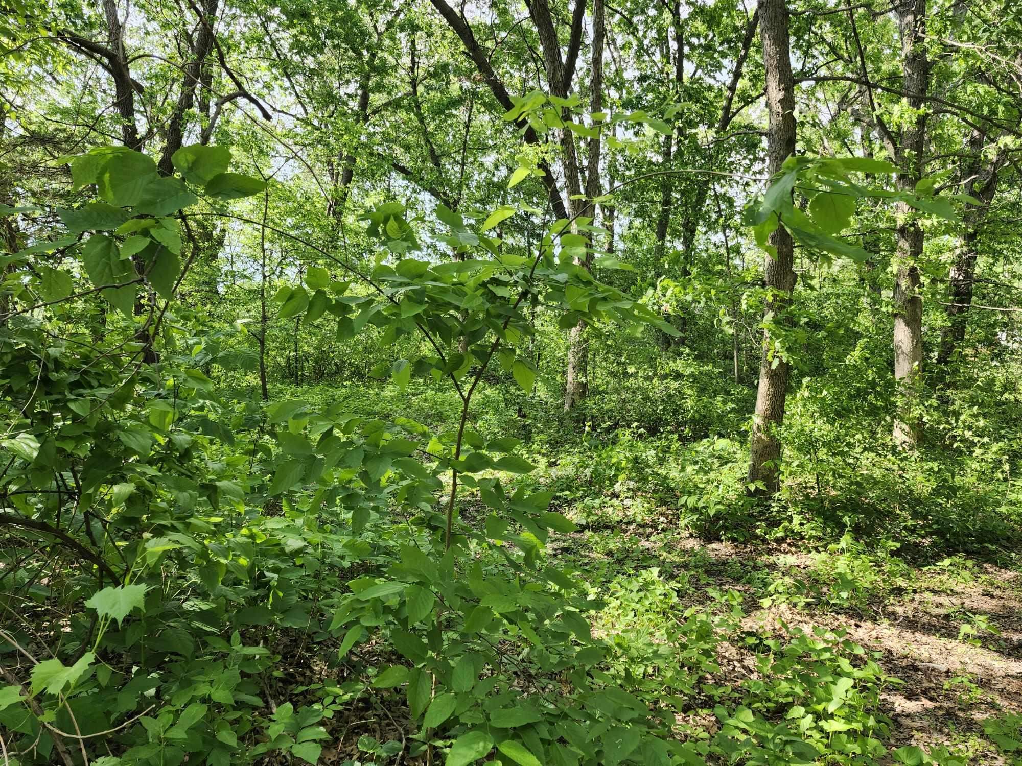 Gingers Muscoda, WI 53573 - Photo 7 of 7