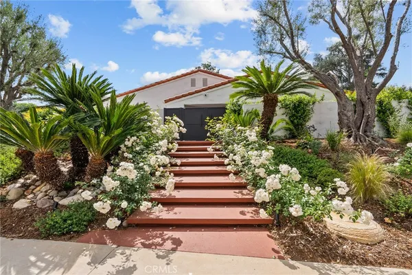 a view of a garden with plants