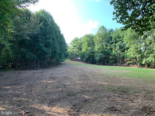 9028 Gue Road Damascus, MD 20872 - Photo 3 of 16