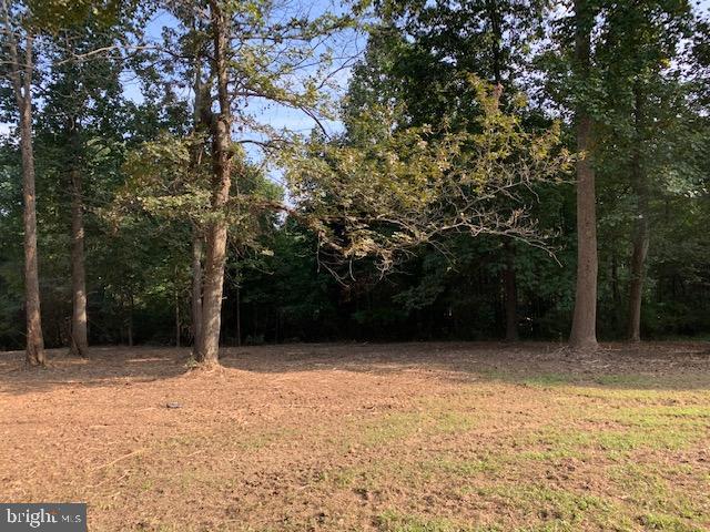 9028 Gue Road Damascus, MD 20872 - Photo 4 of 16