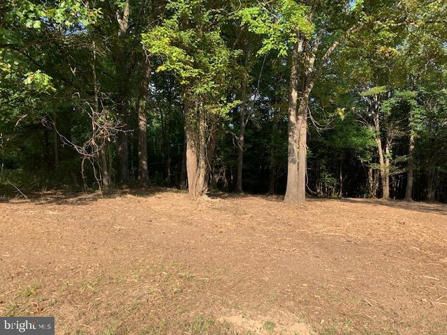 9028 Gue Road Damascus, MD 20872 - Photo 6 of 16