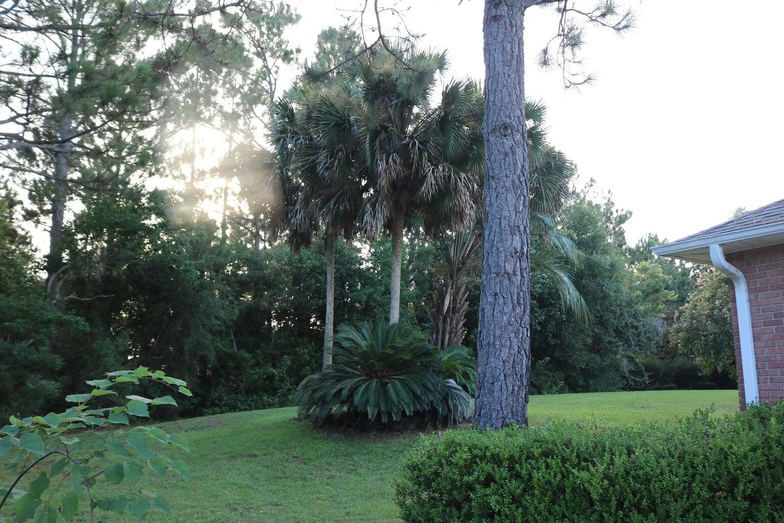 1931 Commodore Drive Navarre, FL 32566 - Photo 36 of 65 Backyard 1