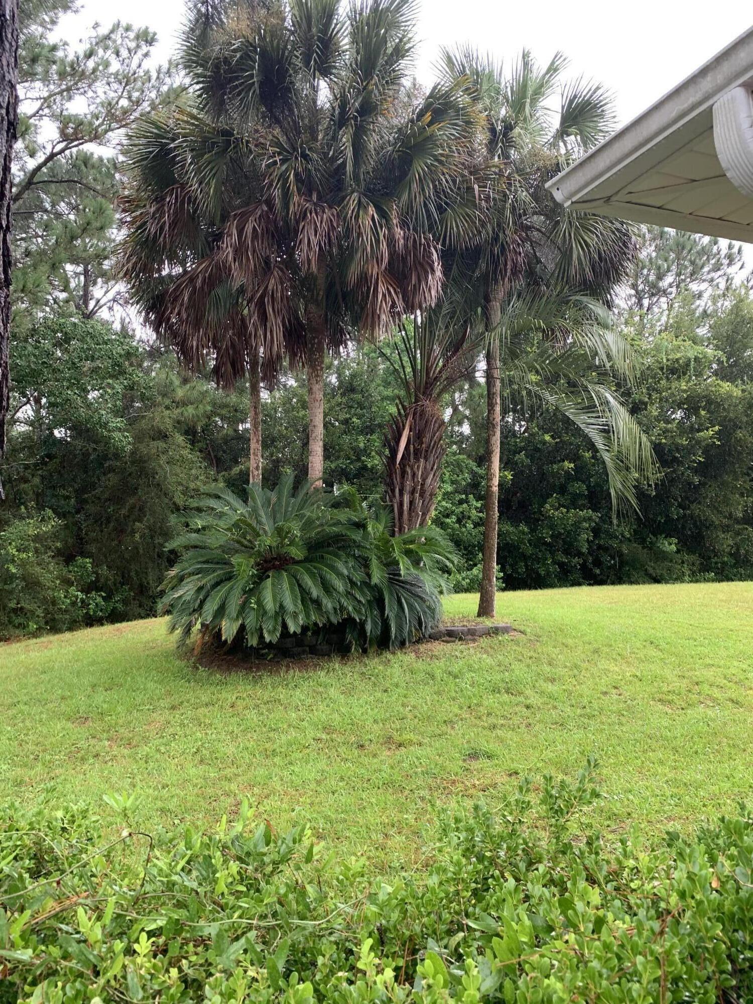 1931 Commodore Drive Navarre, FL 32566 - Photo 39 of 65 Backyard