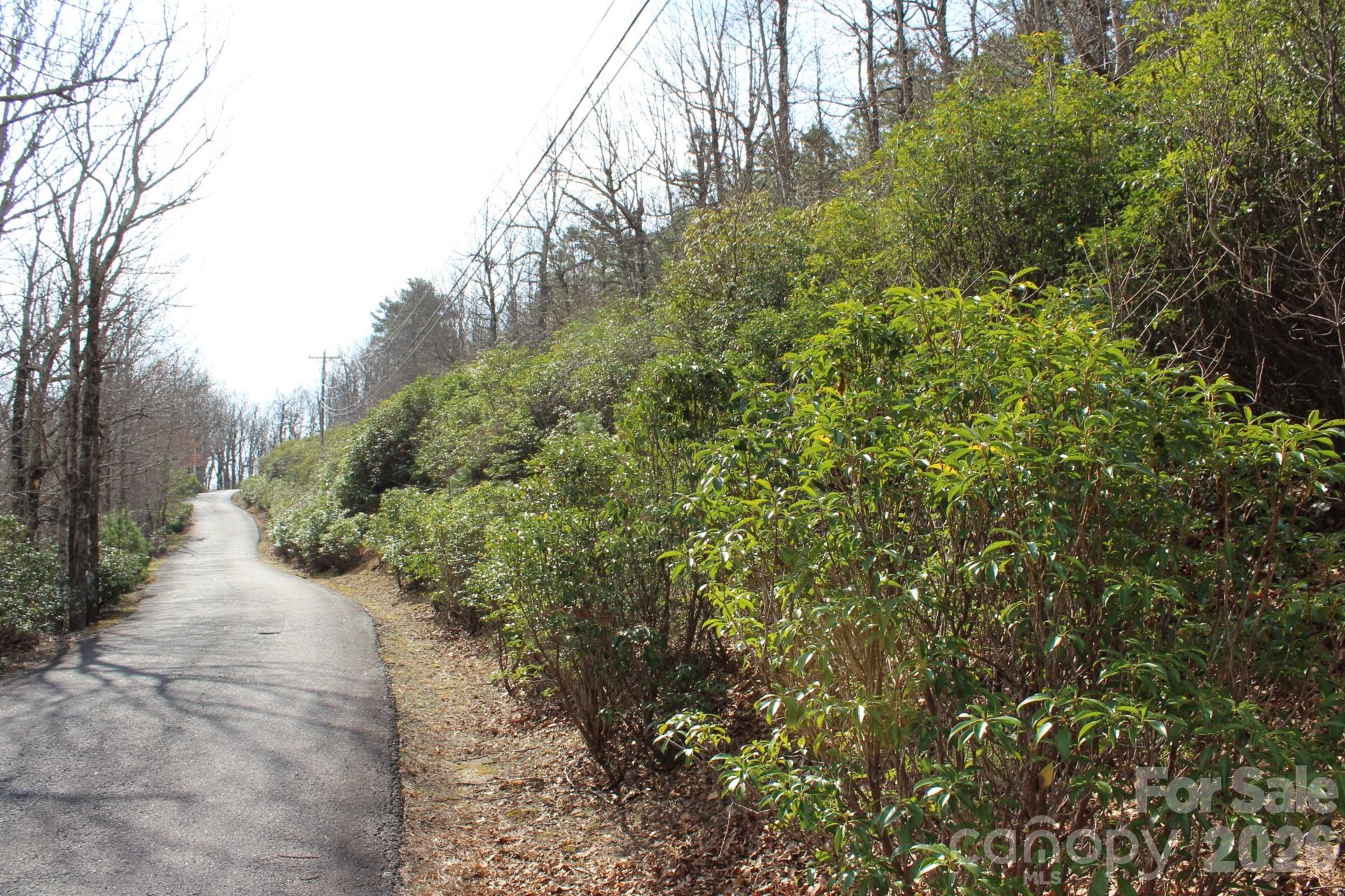Lot 9 Sunset Ridge Drive, Unit 9 Tryon, NC 28782 - Photo 1 of 19 Gallery Image 1