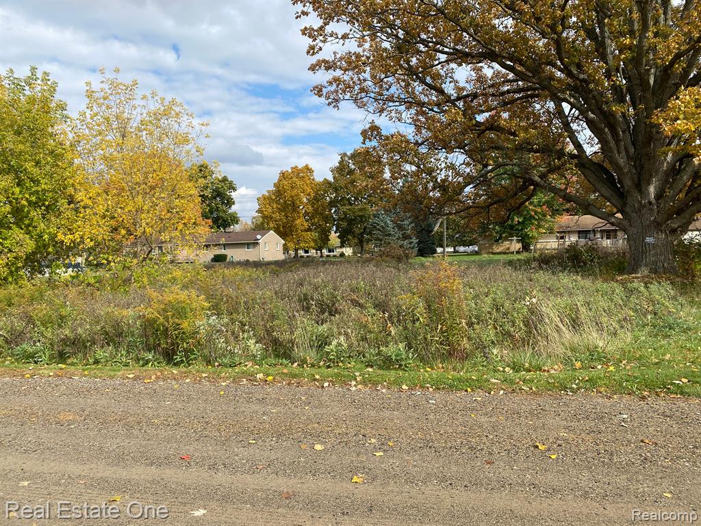 Vl Meadowlawn Road Fowlerville, MI 48836 - Photo 2 of 9