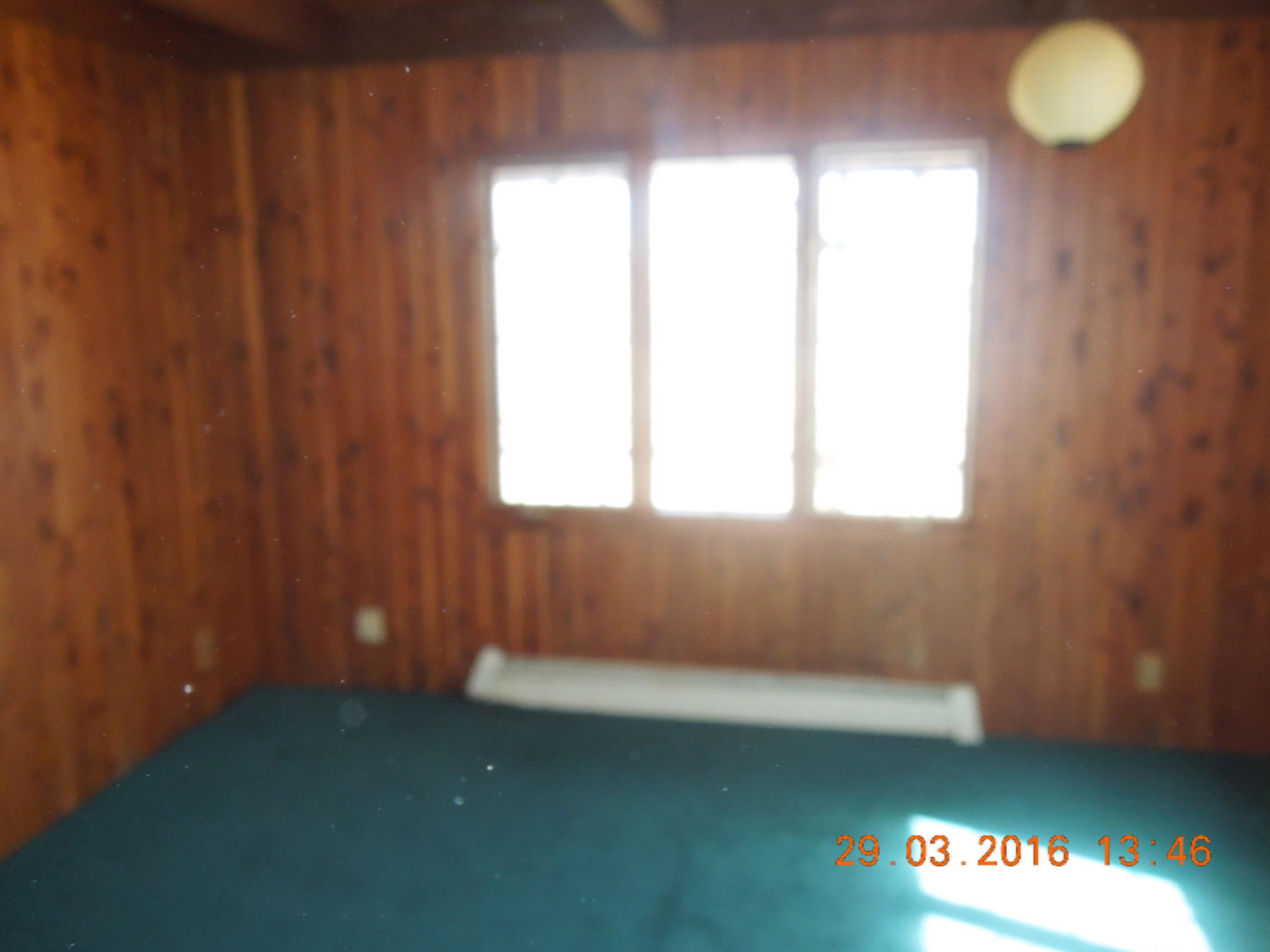 10850 Harkness Road Belding, MI 48809 - Photo 7 of 18 DSCN9755