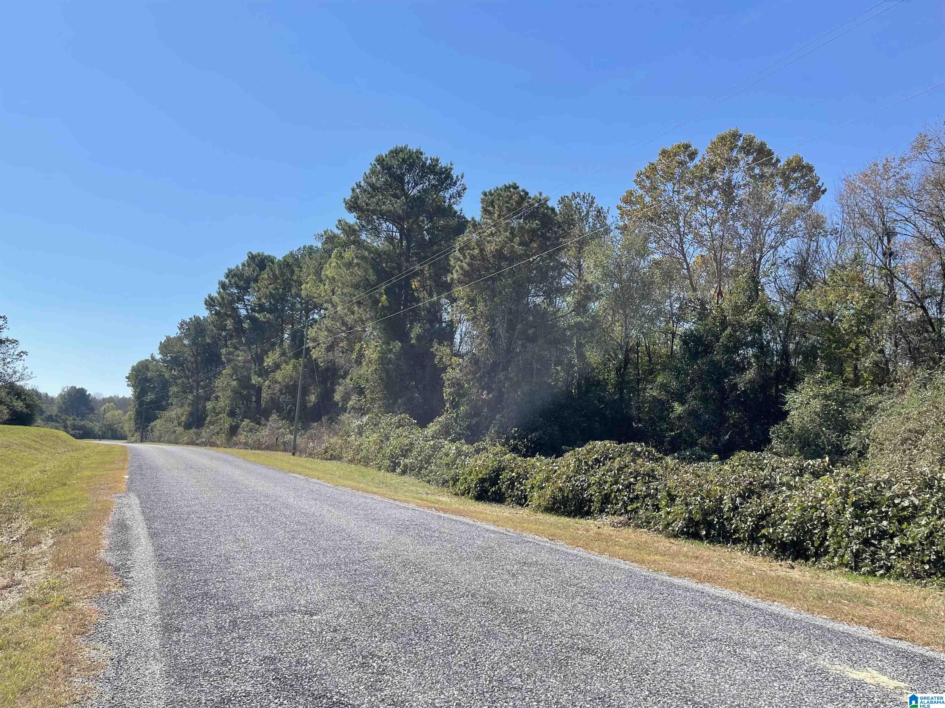 0 Dead Hollow Road, Unit 25 Harpersville, AL 35078 - Photo 4 of 4