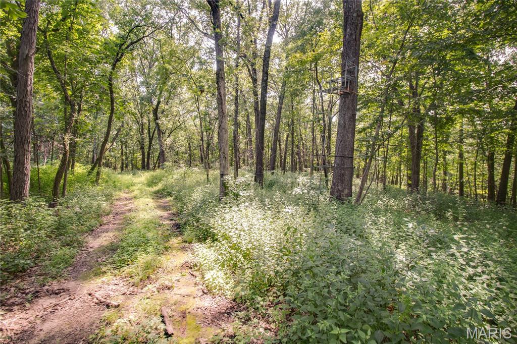 Tbd Rust Road Bunker Hill, IL 62014 - Photo 23 of 25 Gallery Image 23