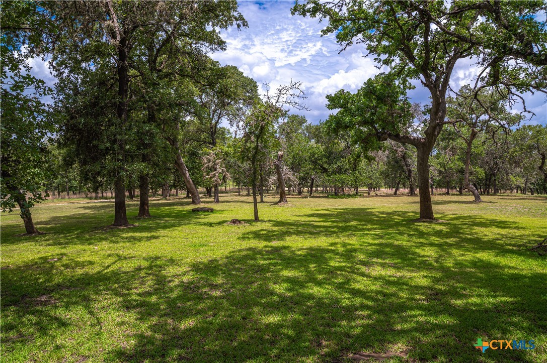 2981 Vivroux Ranch Road Seguin, TX 78155 - Photo 4 of 43 a view of yard with trees