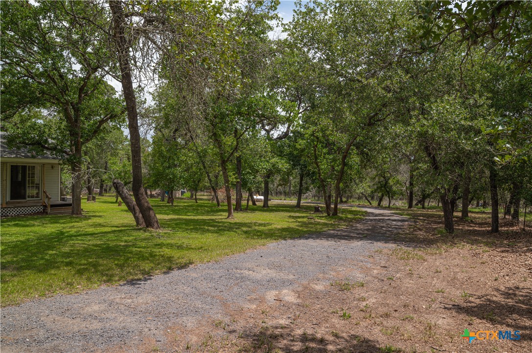 2981 Vivroux Ranch Road Seguin, TX 78155 - Photo 42 of 43 a view of a park with trees in the background