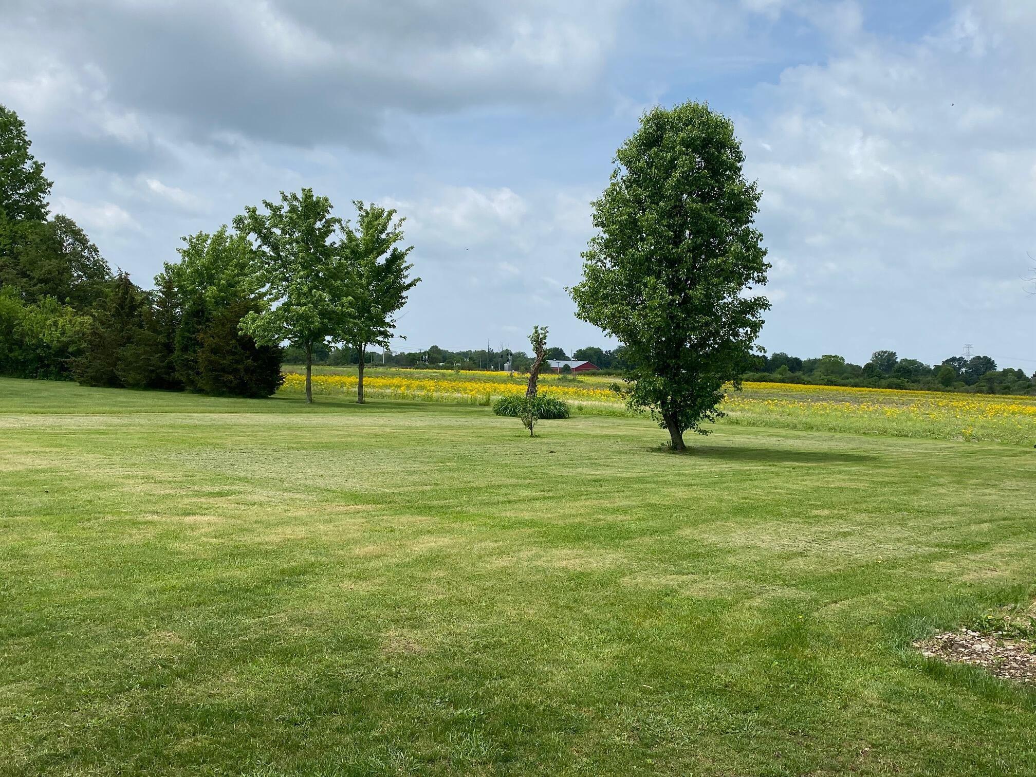 3880 Piatt Road Delaware, OH 43015 - Photo 4 of 36 Gallery Image 4