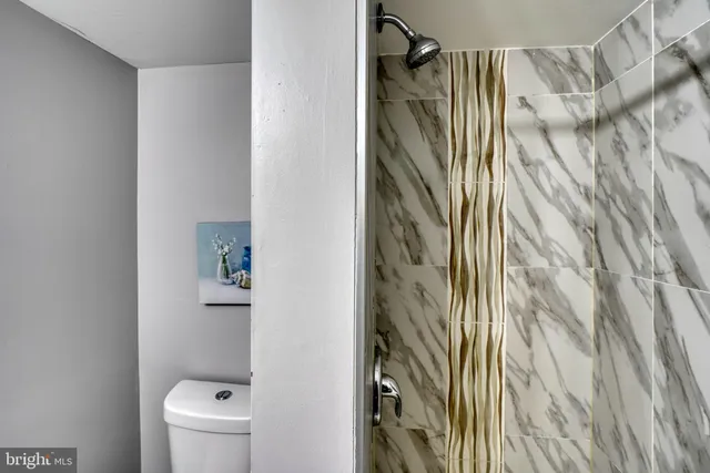 a bathroom with a shower and toilet