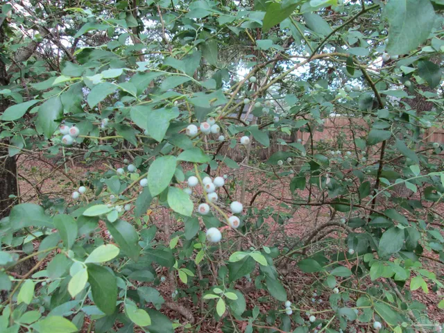an empty room with a fireplace
