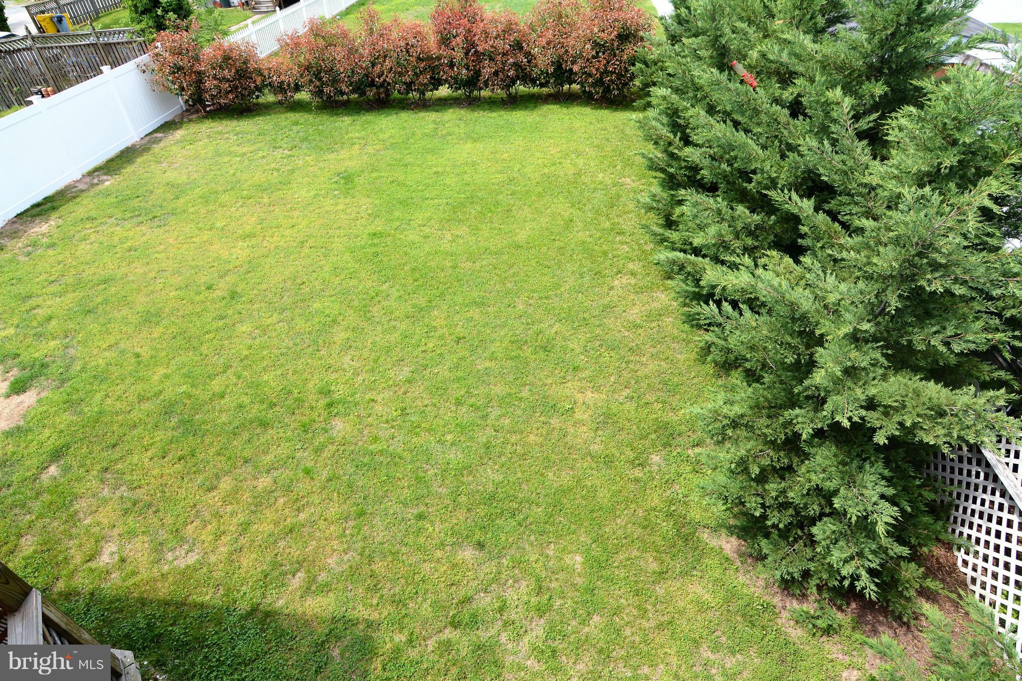 126 Carroll Road Pasadena, MD 21122 - Photo 22 of 28 Grassy Yard Awaiting Pets and Play!
