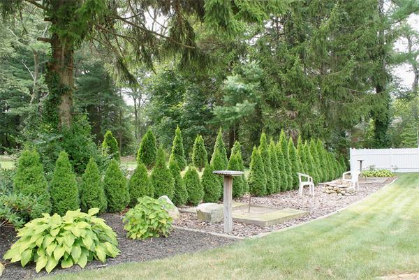 78 Carpenter Road Walpole, MA 02081 - Photo 27 of 30 Gallery Image 27