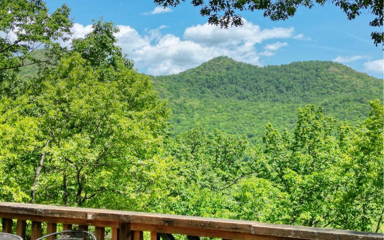 650 Ross Ridge Road Blairsville, GA 30512 - Photo 26 of 50 Additional View