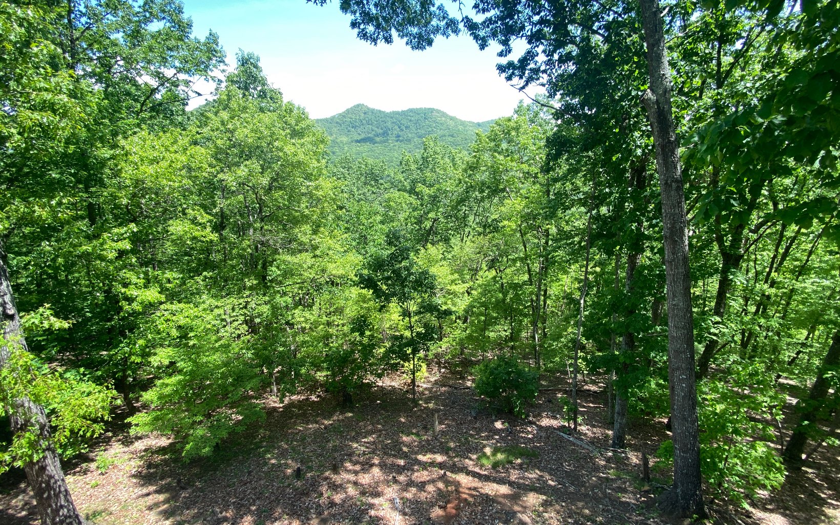 650 Ross Ridge Road Blairsville, GA 30512 - Photo 39 of 50 Additional View