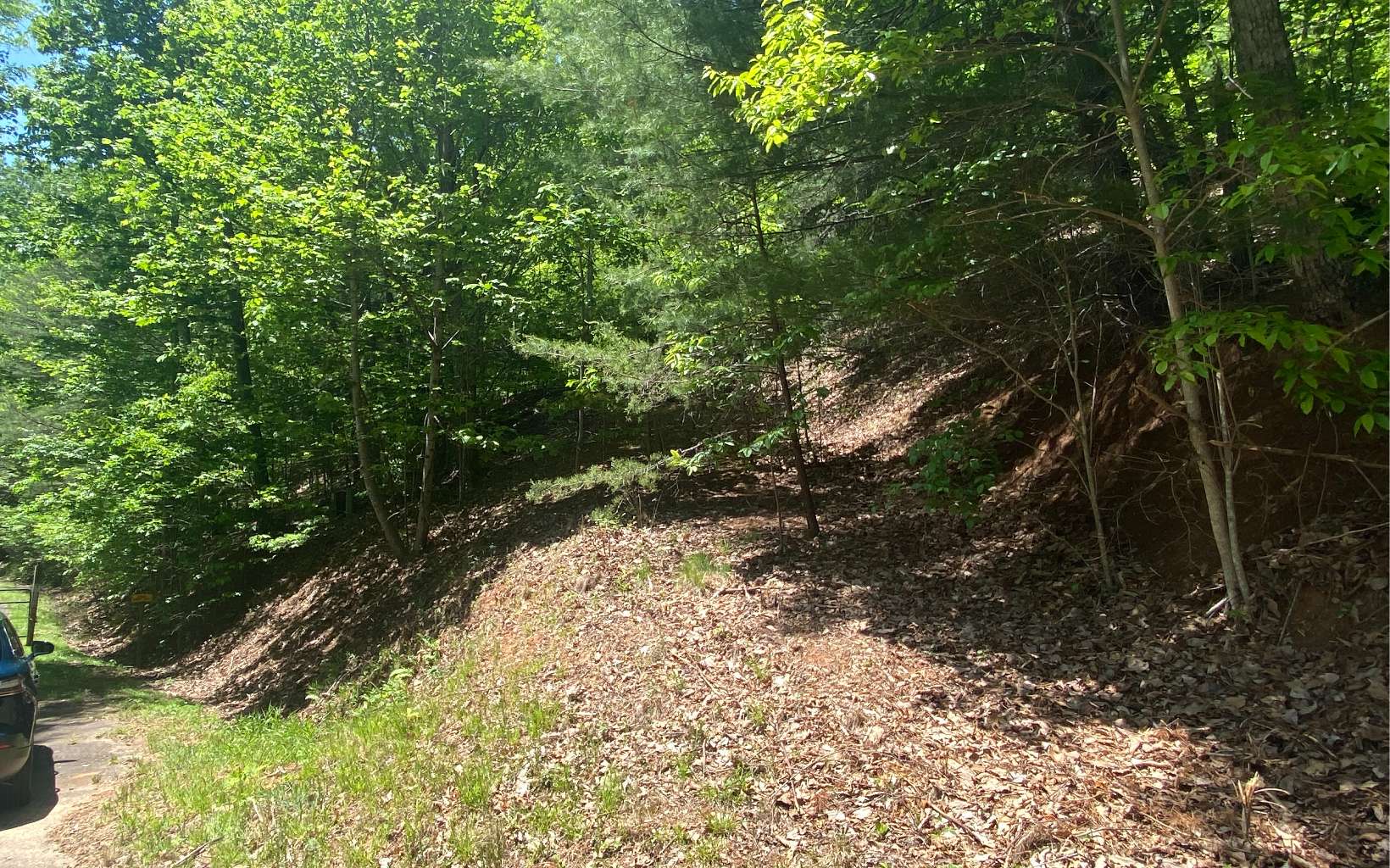 650 Ross Ridge Road Blairsville, GA 30512 - Photo 45 of 50 Additional View