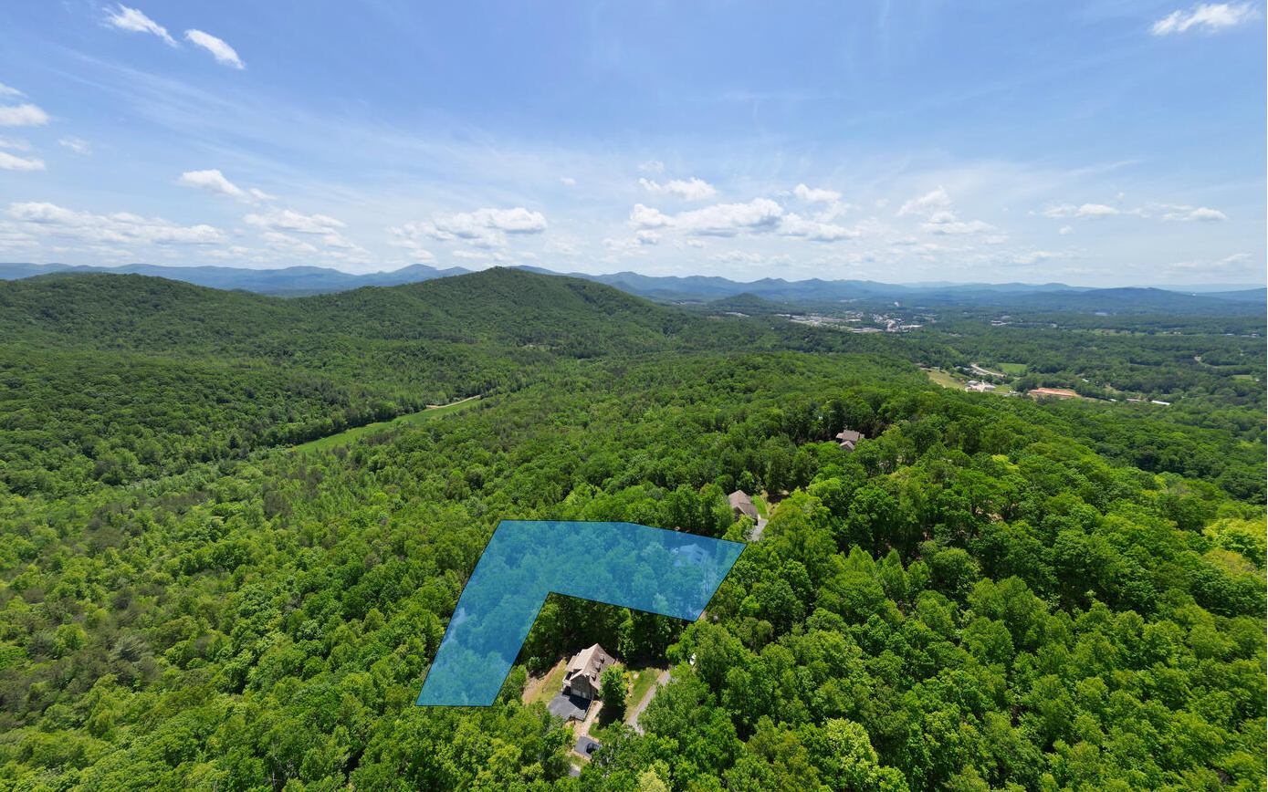 650 Ross Ridge Road Blairsville, GA 30512 - Photo 47 of 50 Additional View