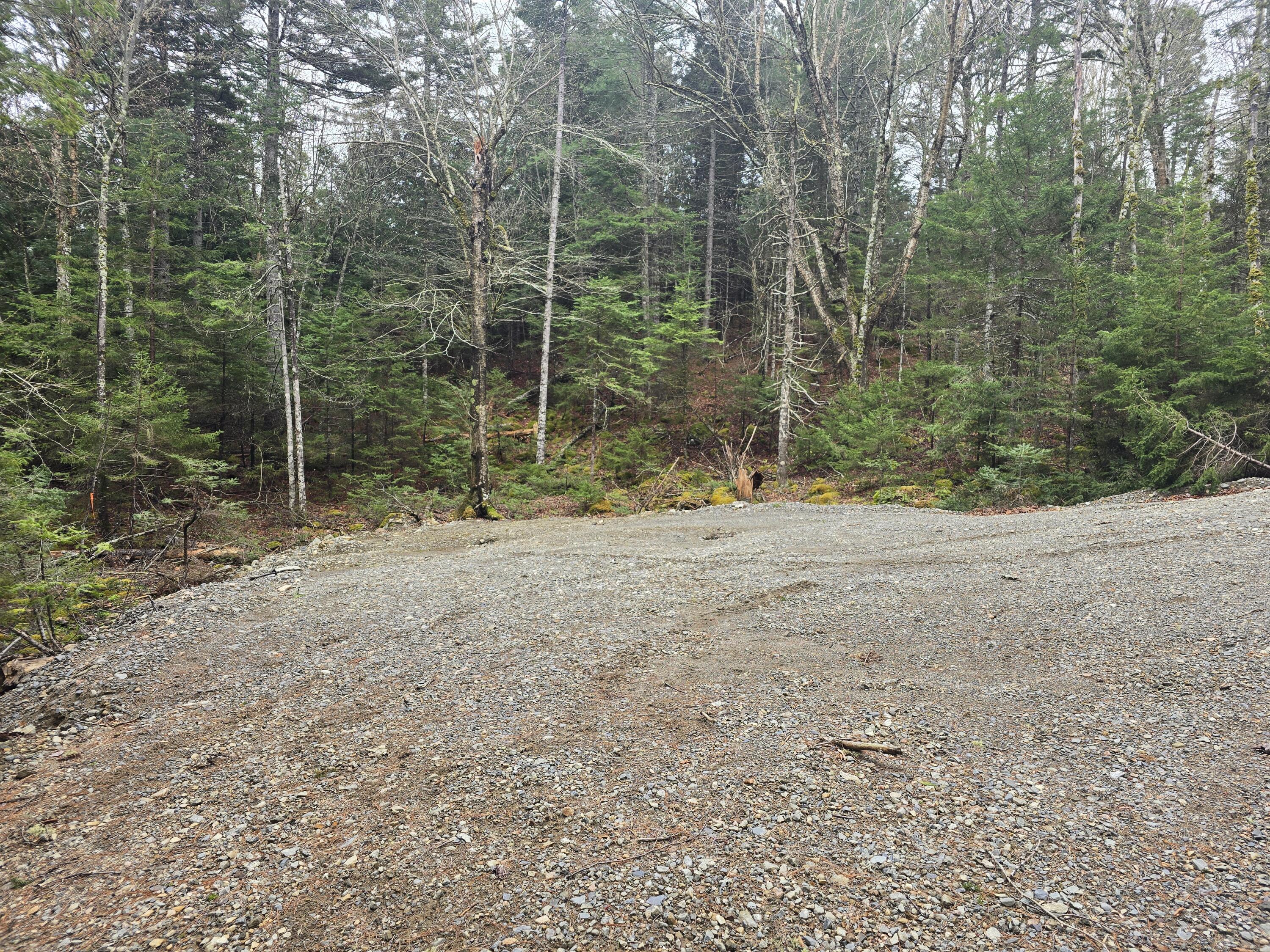 Lot C Lot C Deer Point Road Robbinston, ME 04671 - Photo 4 of 5 20250507_131807
