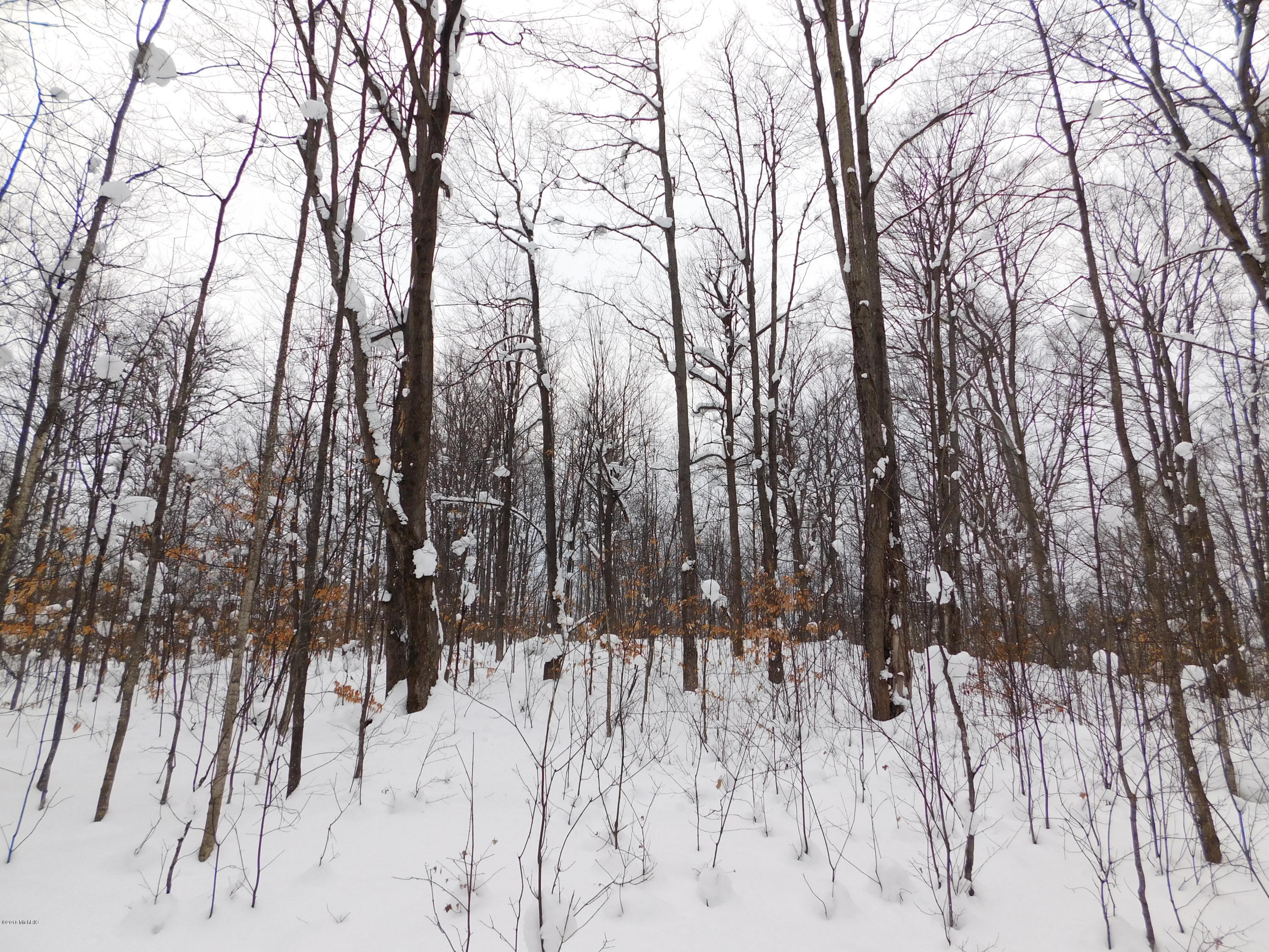 40-acres Simpson Road Mancelona, MI 49659 - Photo 21 of 28 DSCN3618