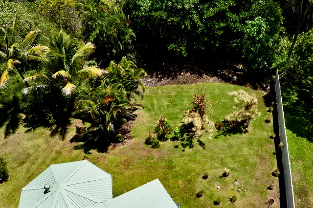 a view of a bunch of flowers