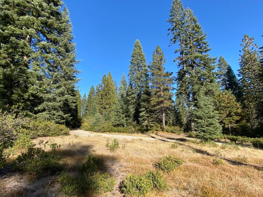 3-e-41 Red Fir Road McCloud, CA 96057 - Photo 32 of 38 Gallery Image 32
