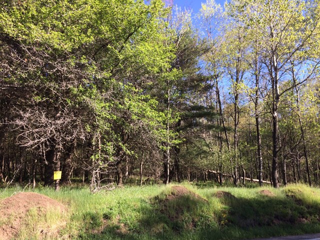 6861 Miola Road Clarion, PA 16214 - Photo 1 of 1