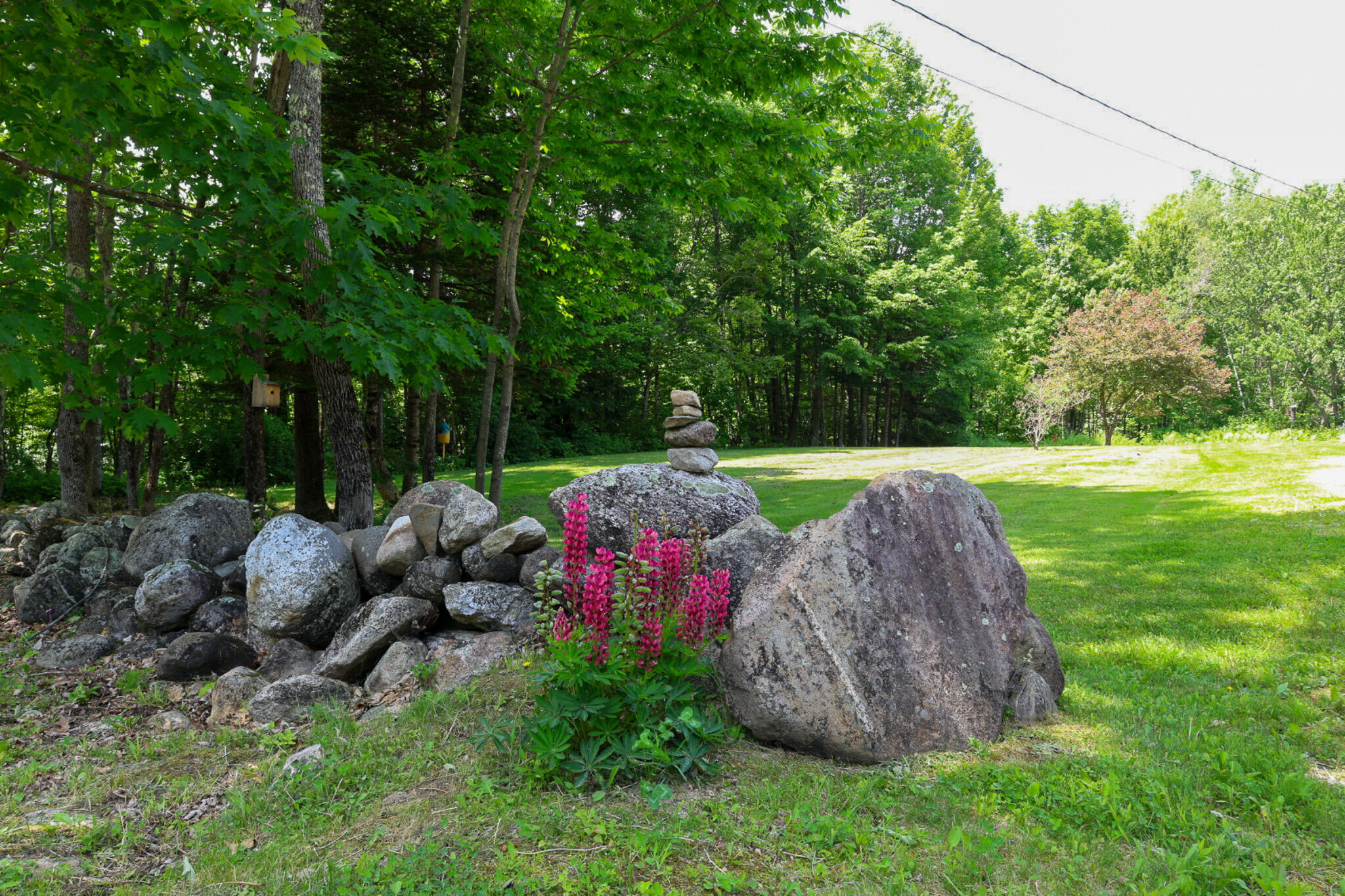 362 Ryerson Hill Road South Paris, ME 04281 - Photo 10 of 83 J83A0581