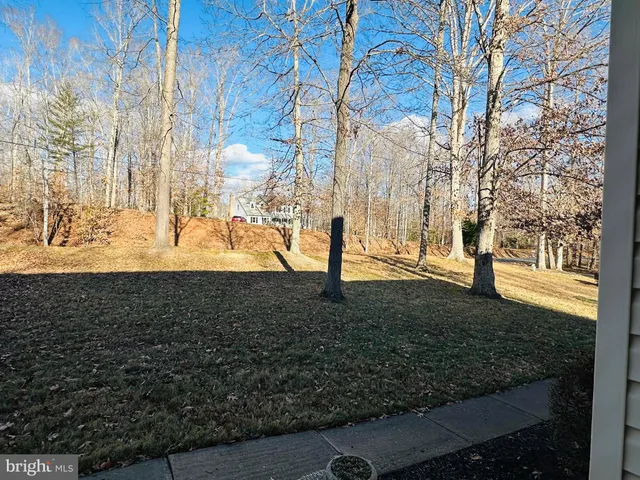 a view of a yard with trees