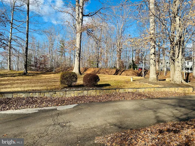 a view of a yard with a fountain