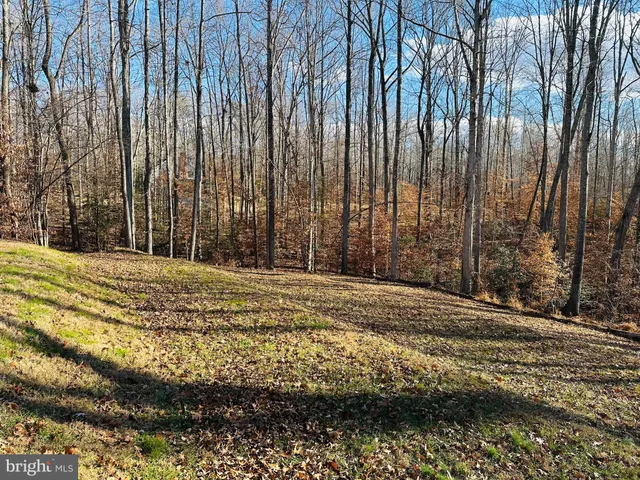 a view of swimming pool with large trees