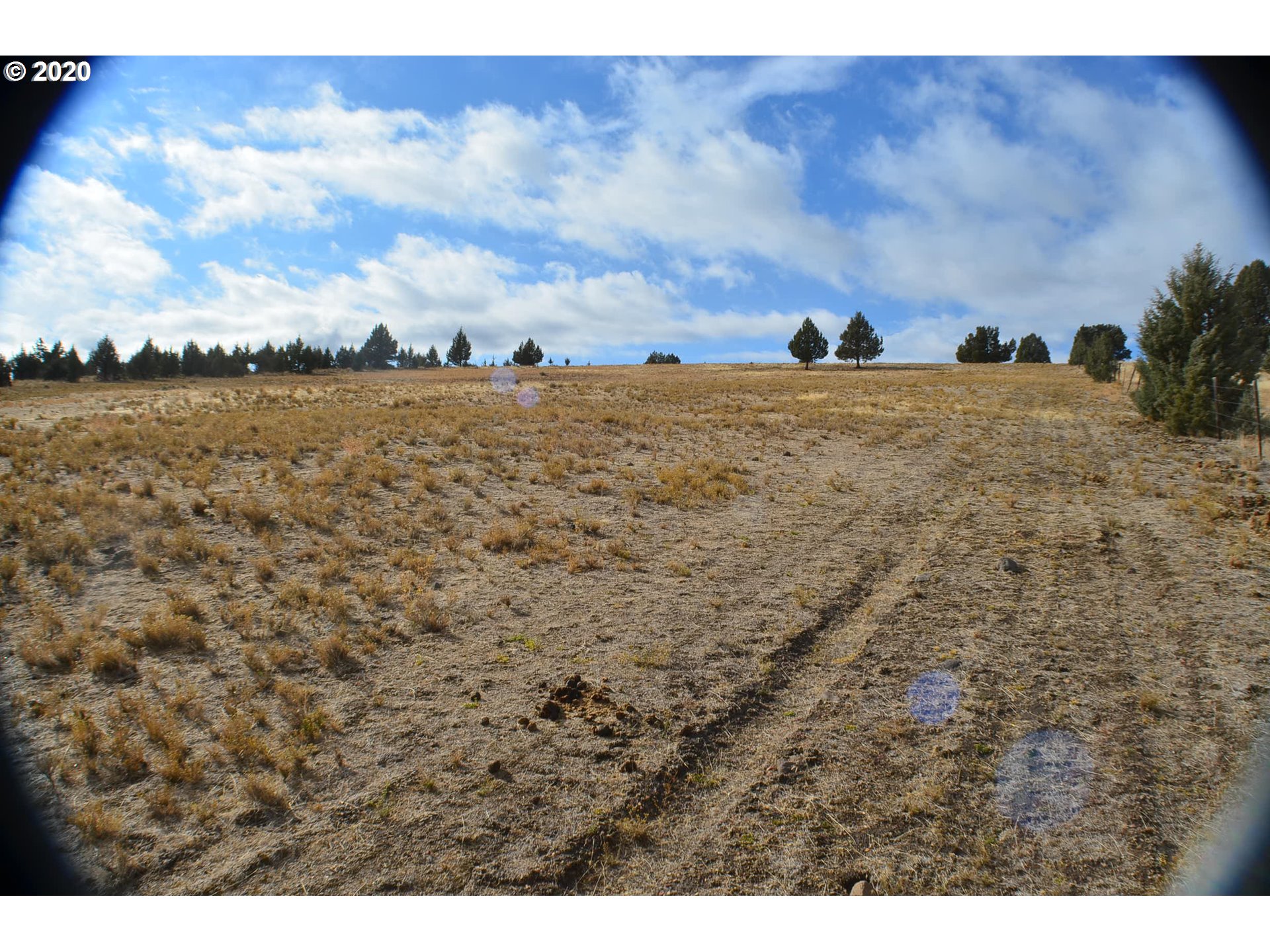 27086 Ridge Road John Day, OR 97845 - Photo 29 of 29