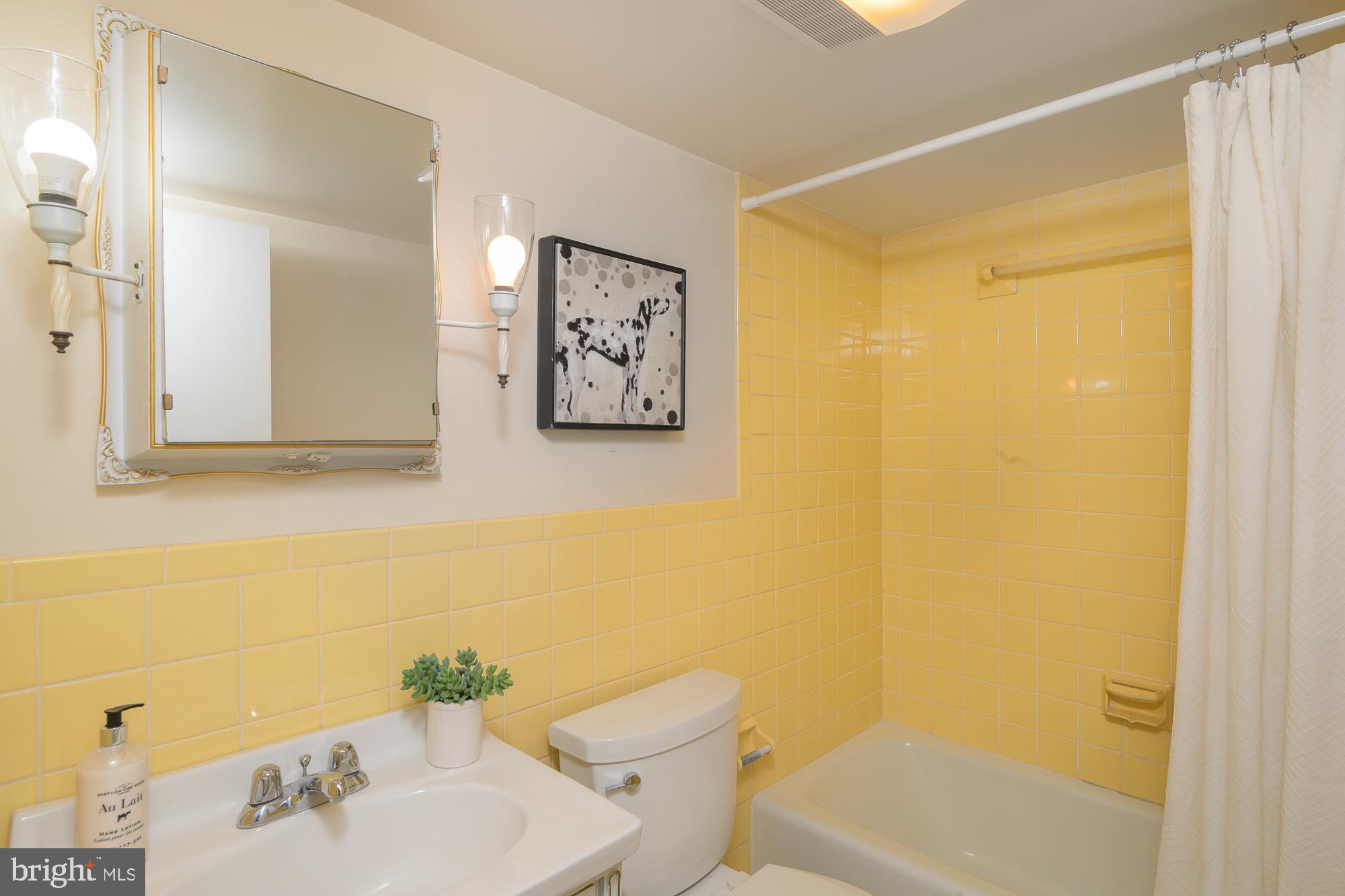 1330 Massachusetts Avenue Southeast Washington, DC 20003 - Photo 30 of 34 a bathroom with a sink mirror and a toilet