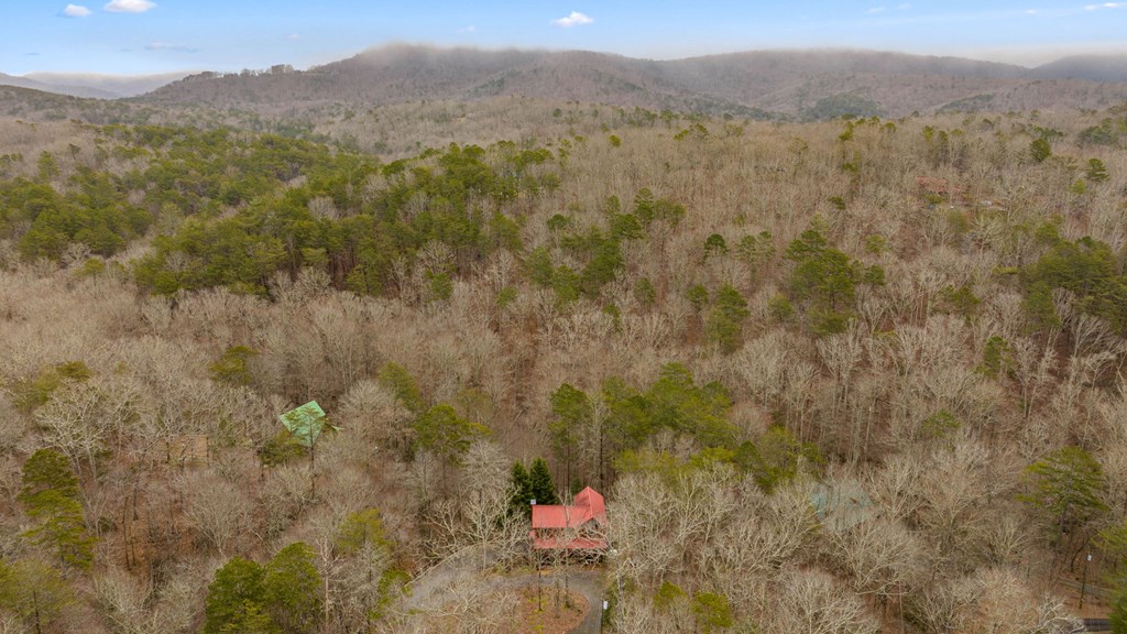 106 Oak Ridge Road Ellijay, GA 30536 - Photo 54 of 70 Gallery Image 54