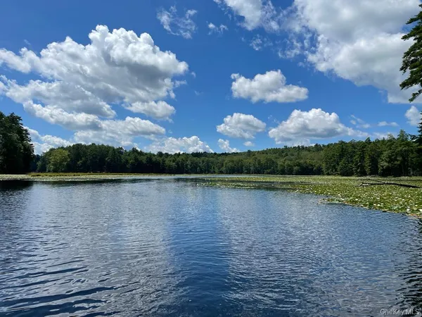 $4,290,000 | Undisclosed Address, Eldred, NY 12732