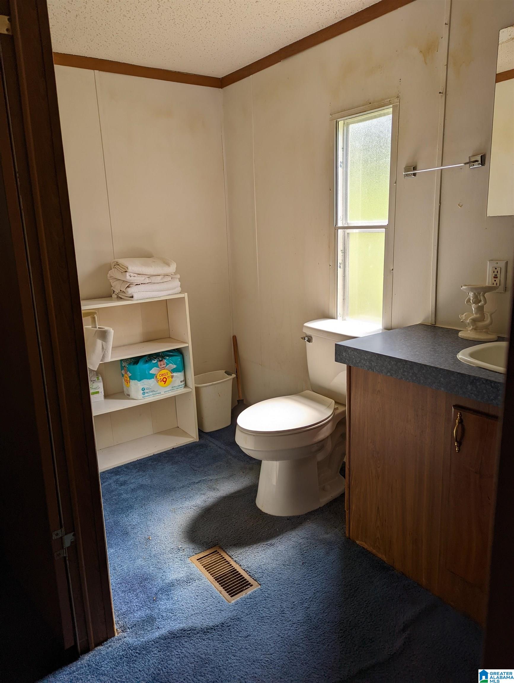252 Shores Camp Road Adger, AL 35006 - Photo 8 of 13
