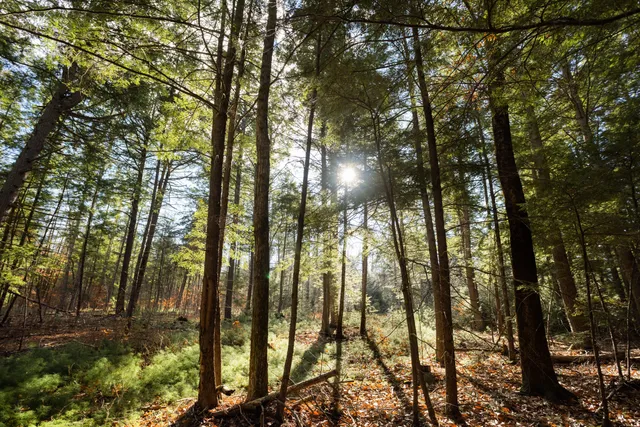 $225,000 | Tbd Tbd Branch View Terrace, Unit LOT 5, Alfred, ME 04002