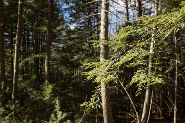 $225,000 | Tbd Tbd Branch View Terrace, Unit LOT 5, Alfred, ME 04002