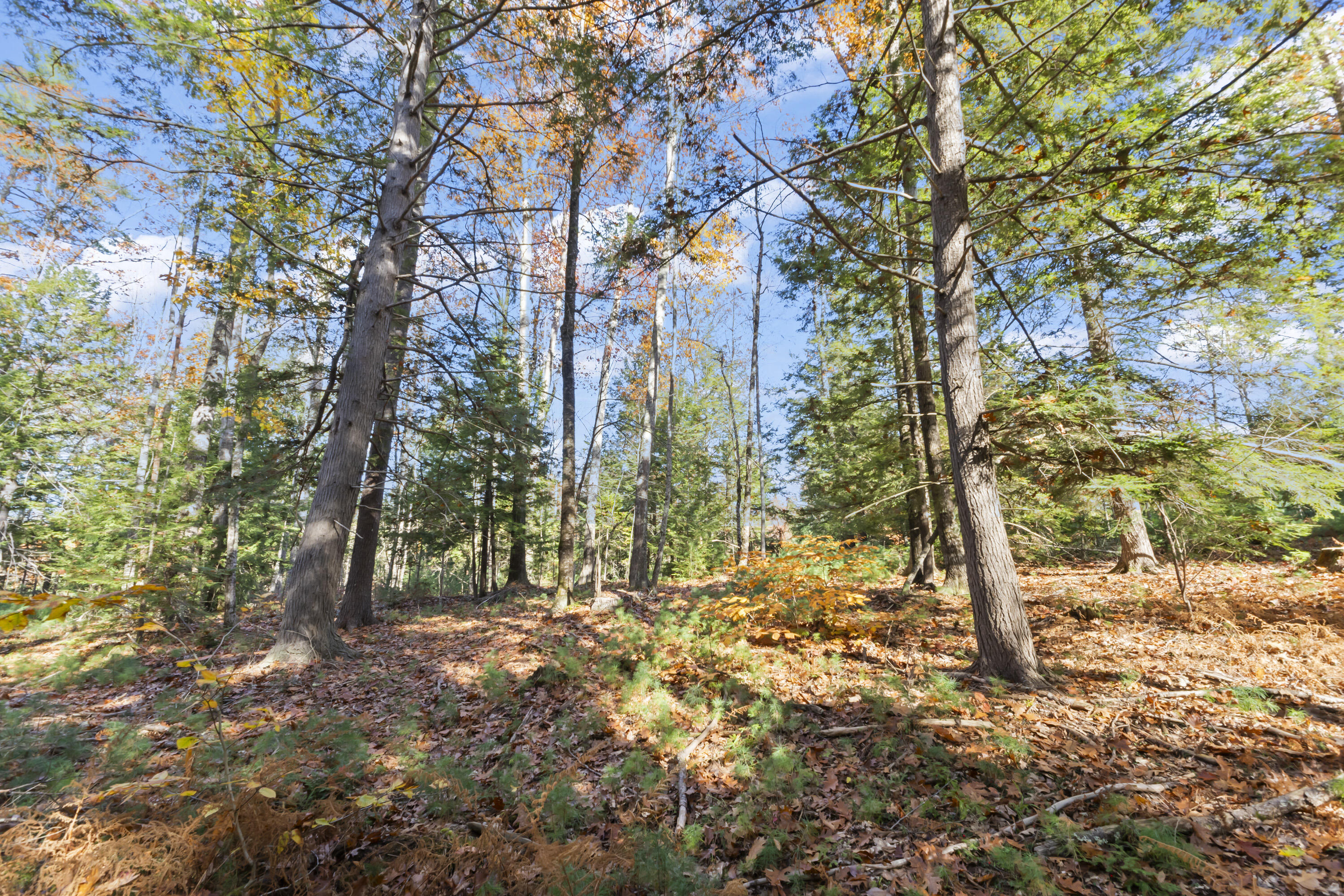 Tbd Tbd Branch View Terrace, Unit LOT 5 Alfred, ME 04002 - Photo 20 of 22 Branch View Estates, Alfred