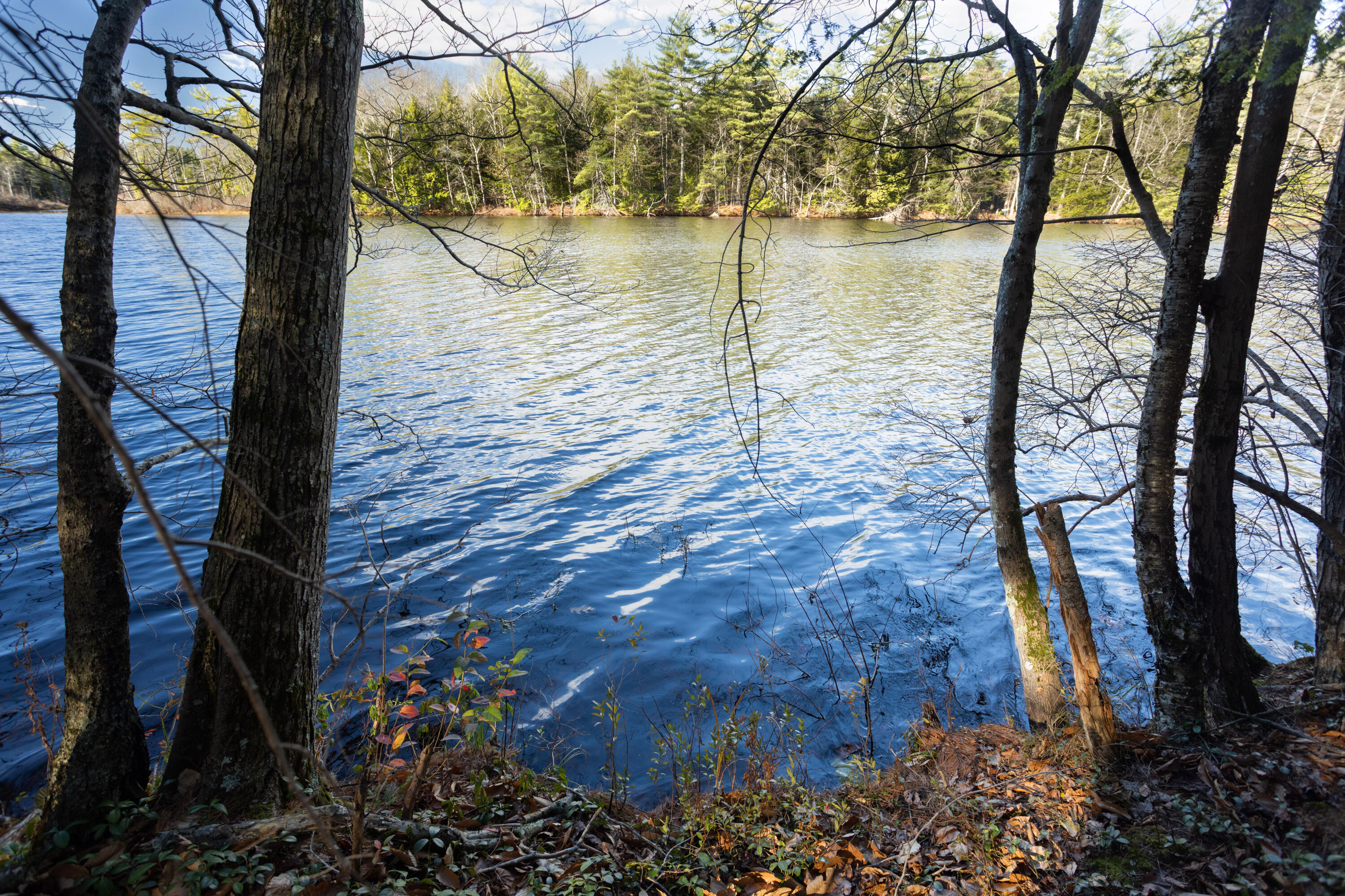 Tbd Tbd Branch View Terrace, Unit LOT 5 Alfred, ME 04002 - Photo 7 of 22 Branch View Estates, Alfred