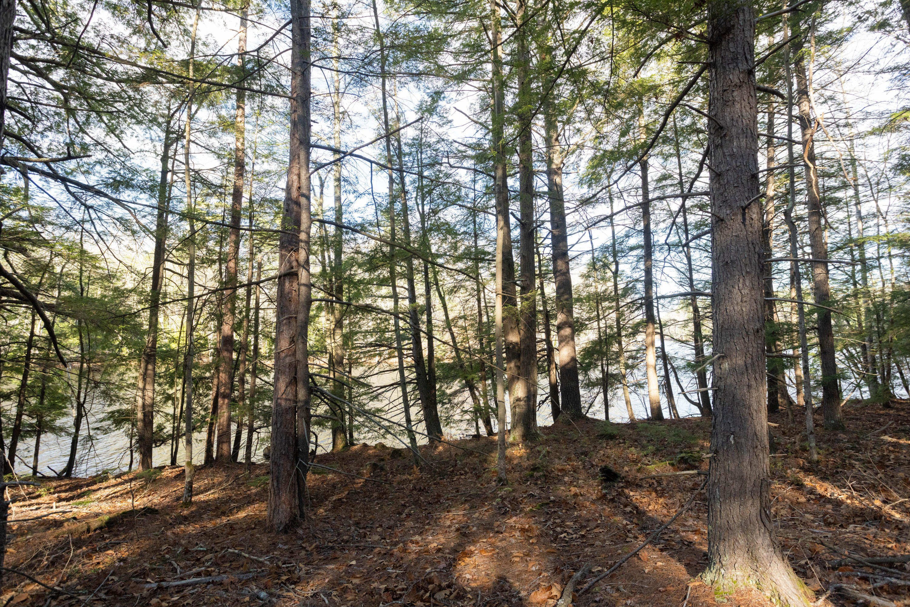 Tbd Tbd Branch View Terrace, Unit LOT 5 Alfred, ME 04002 - Photo 9 of 22 Branch View Estates, Alfred