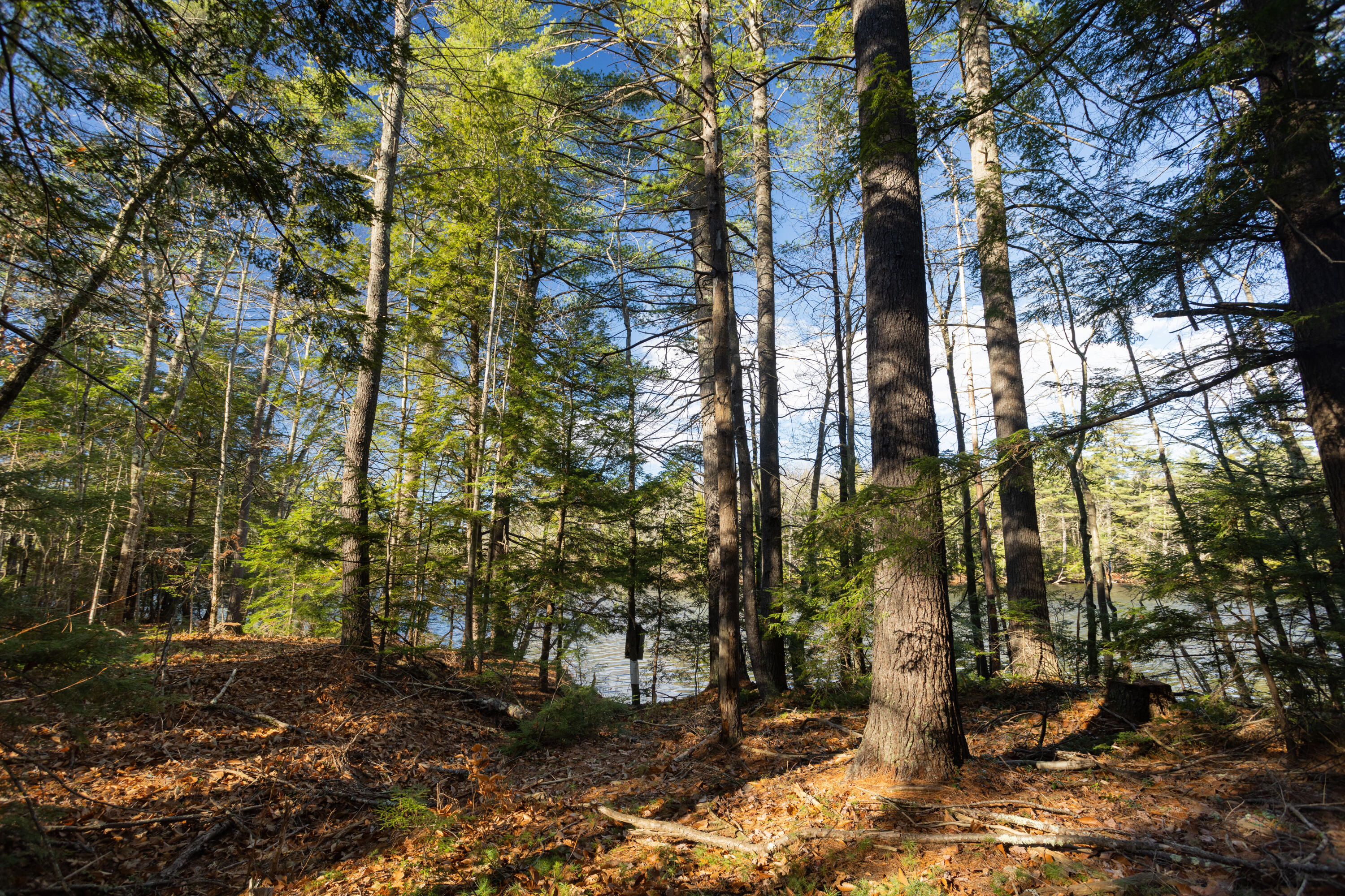 Tbd Tbd Branch View Terrace, Unit LOT 5 Alfred, ME 04002 - Photo 10 of 22 Branch View Estates, Alfred