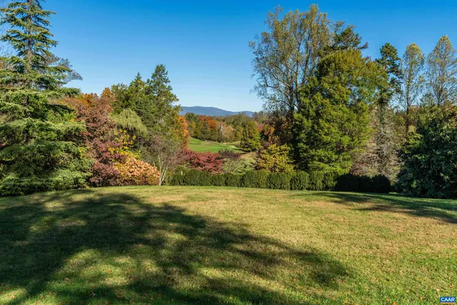 a view of a field with trees in the background