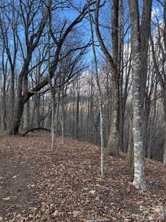 0 Mule Stomp Road Clyde, NC 28721 - Photo 11 of 16